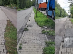 Chodniki na Wesołej zarastają. Mieszkańcy czekają na porządki