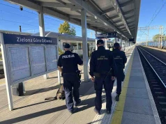 Zielona Góra. Awaryjnie zatrzymał pociąg, interweniowały służby