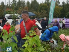 Sadzonki za odpady. Akcja ponownie przyciągnęła tłumy