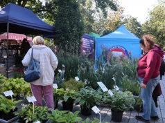Kolejny Targ na Plantach