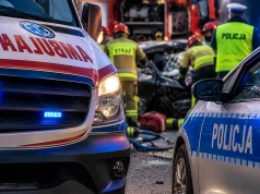Tragiczny wypadek na DW 106. Samochód uderzył w drzewo, kierowca spłonął w aucie