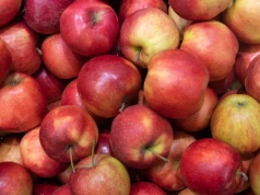 Jedli dwa jabłka dziennie przez 8 tygodni. Tak zareagował cholesterol i cukier