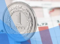 Masz 100, 300 albo 500 zł? Sprawdź, w co można inwestować małe kwoty