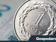 Złoty między młotem a kowadłem
