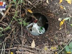 Szokujące odkrycie na Lubelszczyźnie. 12 kilogramów narkotyków zakopanych w ziemi