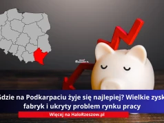 Gdzie na Podkarpaciu żyje się najlepiej? Wielkie zyski fabryk i ukryty problem rynku pracy