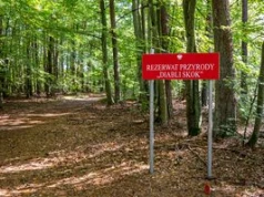 Diabli Skok. Dziki zakątek, który wygląda jak kawałek gór przeniesiony do Wielkopolski
