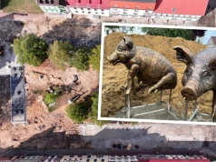 To miasto stawia na nowy symbol. Na rynku pojawiają się… prosiaki