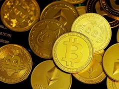 Pierwszy ETF na NEAR od Bitwise. Czy to oznacza wzrosty tej kryptowaluty?