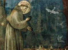 Święty Franciszek i zwierzęta – inspiracje dla katechetów i duszpasterzy