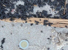 Plaże w Ustce zamknięte. Czarna substancja pojawiła się na 50 km wybrzeża