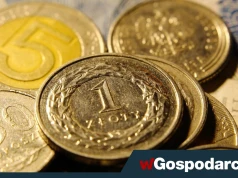 Złoty siedzi okrakiem