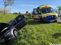 Owad w samochodzie rozproszył kierującą. Citroen wpadł do rowu.