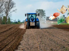 Znamy kurs euro do dopłat 2026. Wyższy kurs działa na korzyść rolników