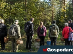 Niemcy szturmują polskie lasy. Skarbówka na posterunku
