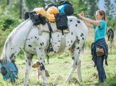 Z koniem i psem przez Europę. Spotkanie z Anną Szamretą
