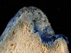 Okinawa: "plastikorale" znalezione na plażach. Plastik wtopił się w rafę