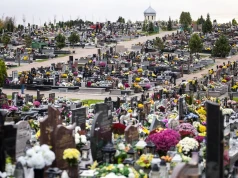 Bezpłatne meleksy wracają na Cmentarz Wilkowyja. Będą kursować także przed Wszystkimi Świętymi