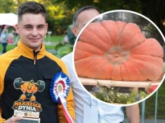 Wypija tysiąc litrów wody dziennie i waży 683 kg. Hodowca z Podhala zdradza sekret dyni-giganta