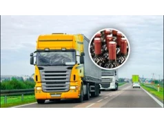 Transport z Argentyny zatrzymany. Oto, co miało trafić do Polski
