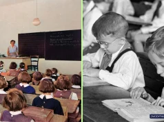 Quiz szkolny. 11 pytań z 11 szkolnych przedmiotów. Kto zdobędzie 11/11?