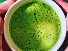Podlaska matcha podbija Polskę. Główny składnik rośnie tylko w Hajnówce