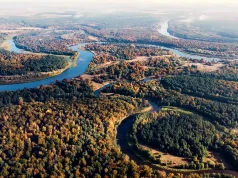 Ujście Szczary do Niemna. 40 sekund zachwytu jesienią (WIDEO)