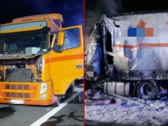 Tragiczny wypadek na S12. Zderzyły się dwa tiry, jedna osoba nie żyje