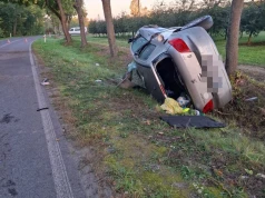 Groźny wypadek w Celejowie. 22-latek uderzył Peugeotem w drzewo