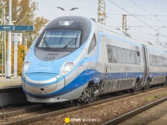 O krok od tragedii. Maszynista w ostatniej chwili zatrzymał pociąg przed drzewem leżącym na torze