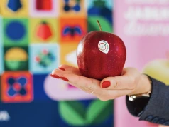 Są bezkonkurencyjne! To najlepsze jabłka na świecie według rankingu „Top 100 Apples in the World”
