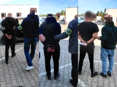 Nielegalna uprawa konopi w gminie Łęczna. Trzej mężczyźni aresztowani