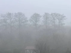 IMGW ostrzega przed gęstą mgłą. Alerty dla 14 województw