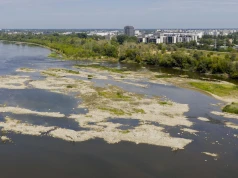 PIG ostrzega przed suszą. Mamy stan zagrożenia
