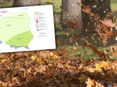 Biomet na poniedziałek. IMGW wydał komunikat