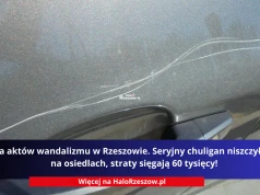 Seria aktów wandalizmu w Rzeszowie. Seryjny chuligan niszczył auta na osiedlach, straty sięgają 60 tysięcy!