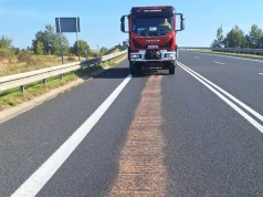 Strażacy dysponowani do neutralizacji miejscowego zagrożenia