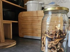 Suszysz grzyby w piekarniku w ten sposób? Uważaj, szybko spleśnieją