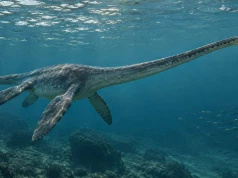 Plezjozaury od A do Z. Długa szyja, cztery płetwy i miliony lat w oceanach