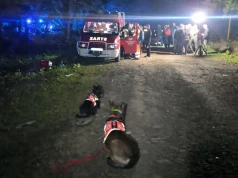 Starsza kobieta nie wróciła z grzybobrania. Trwają poszukiwania na Sądecczyźnie