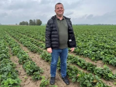 Truskawki potrzebują wapnia, ale kreda czy siarczan? Samo pH nie daje odpowiedzi
