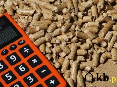 Kupujesz pellet do pieca? Ta niespodziewana zmiana cen w sklepach zaskoczy wielu właścicieli domów