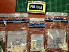Zamrażarka i szafka na buty pełne narkotyków. 23-latek trafił do aresztu