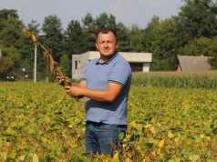 Ceny soi w skupie wzrosły o prawie 40%. Jaki jest poziom opłacalności?