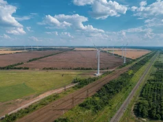 Jak ograniczyć wpływ farm wiatrowych na ptaki?