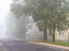 W nocy i w środę rano będzie niebezpiecznie na drogach. IMGW ostrzega