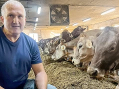 Susza zabrała mu połowę trawy. Podwoił udział kukurydzy, a krowy nadal dają 40 litrów mleka