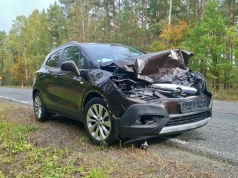 Dzikie zwierzęta nie znają przepisów. Kierowco, zachowaj czujność!