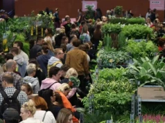 Nadchodzi jesienna edycja Festiwalu Roślin w Krakowie