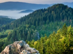 Turyści jadą w Karkonosze, a niedaleko kryje się taka perełka. Jesienią jest najpiękniej